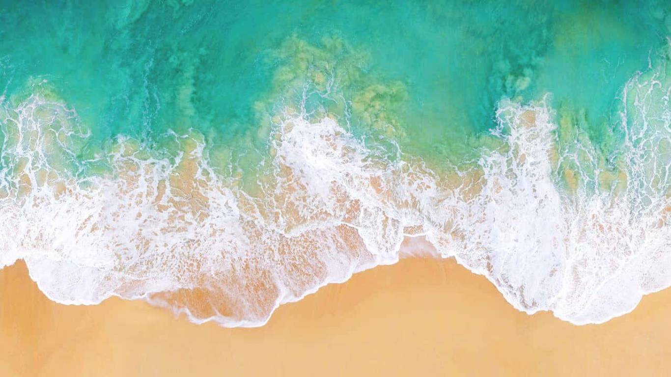 Ocean
